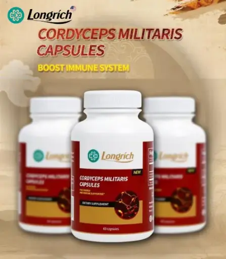 CORDYCEPS MILITARIS GELULES – 60 GELULES